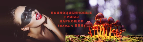 соль ск Карталы
